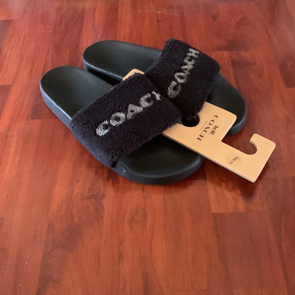 Authentic Coach slides - Picture 2 of 8